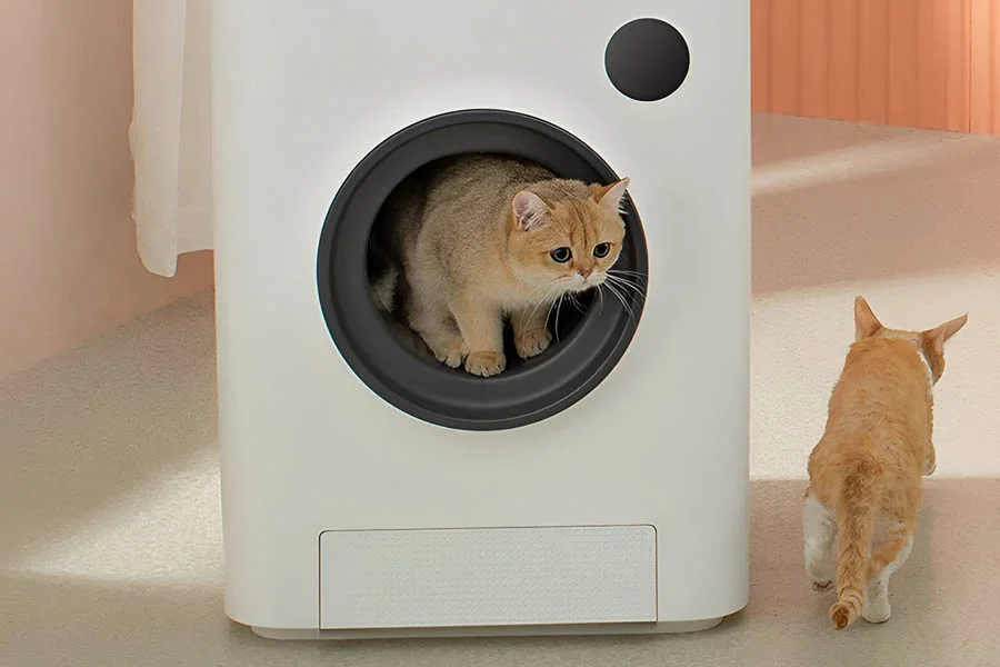 best rated litter box