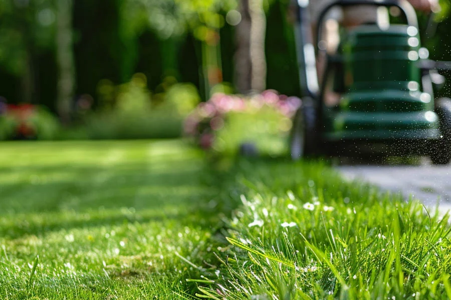 the best electric mower